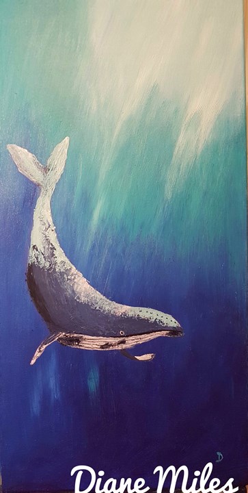 Australian Blue Whale